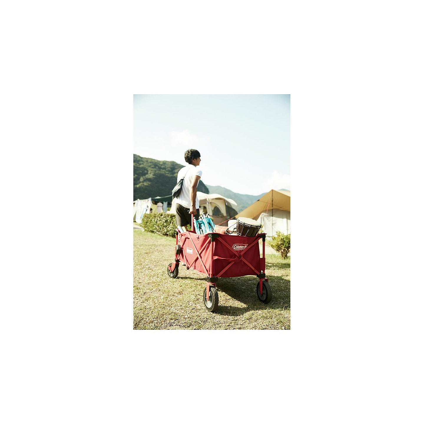 COLEMAN Camping Bollerwagen — Buy in Cyprus with Fast Delivery