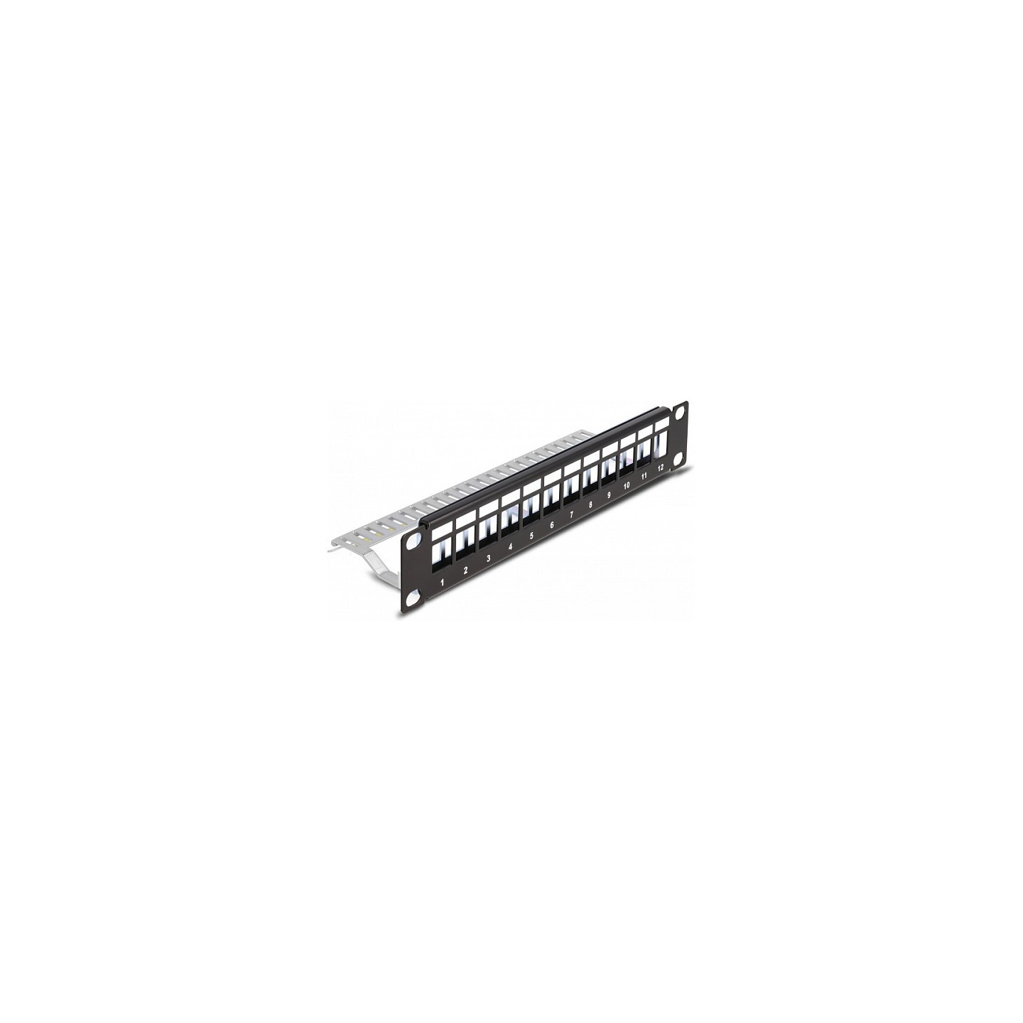 Delock 10? Keystone Patchpanel 12 Port mit Entlastungsschiene 1 HE schwarz — Buy in Cyprus with Fast Delivery