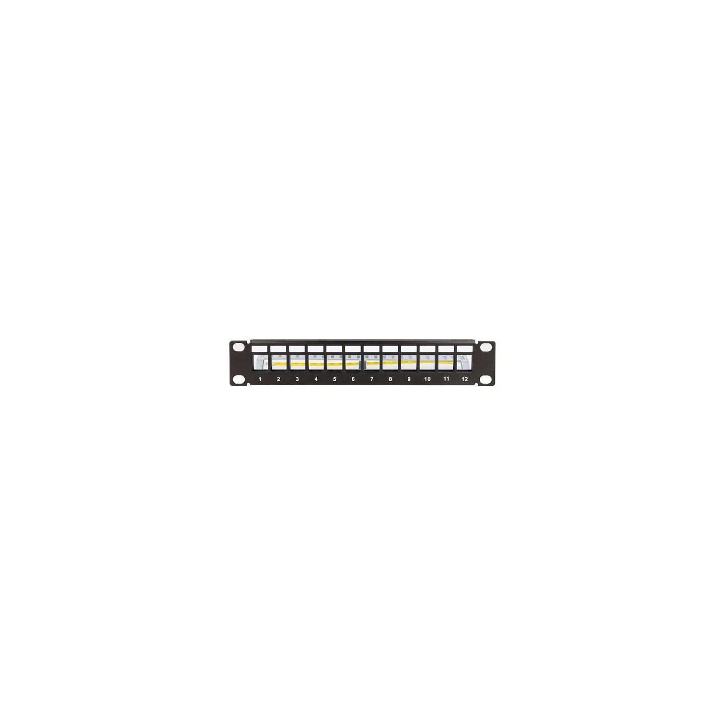 Delock 10? Keystone Patchpanel 12 Port mit Entlastungsschiene 1 HE schwarz — Buy in Cyprus with Fast Delivery