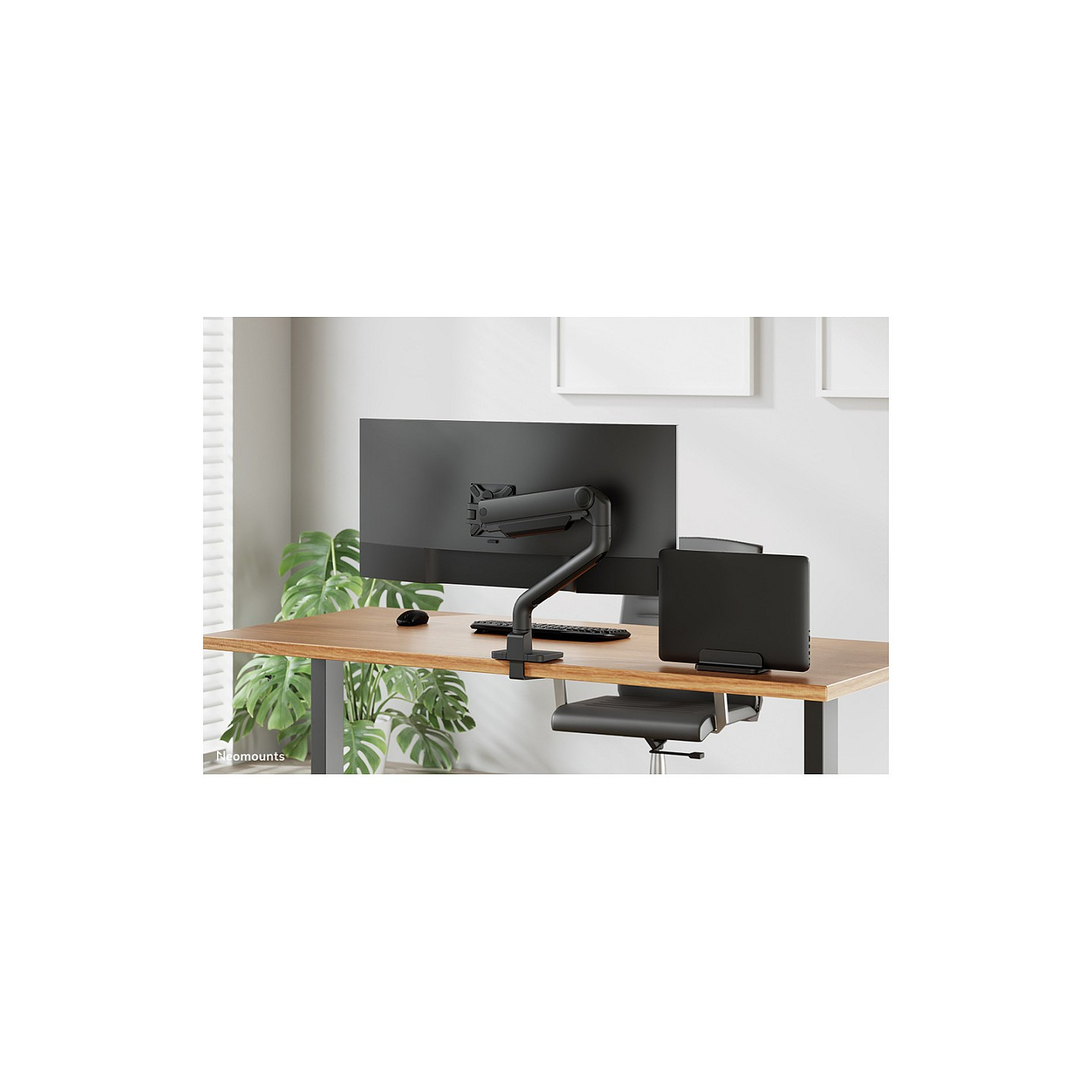 Neomounts Notebook-Ständer NSLS300BLACK 11'-17' 5KG Black — Buy in Cyprus with Fast Delivery