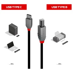 LINDY 1m USB 2.0 Typ C an B Kabel. Anthra Line — Buy in Cyprus with Fast Delivery