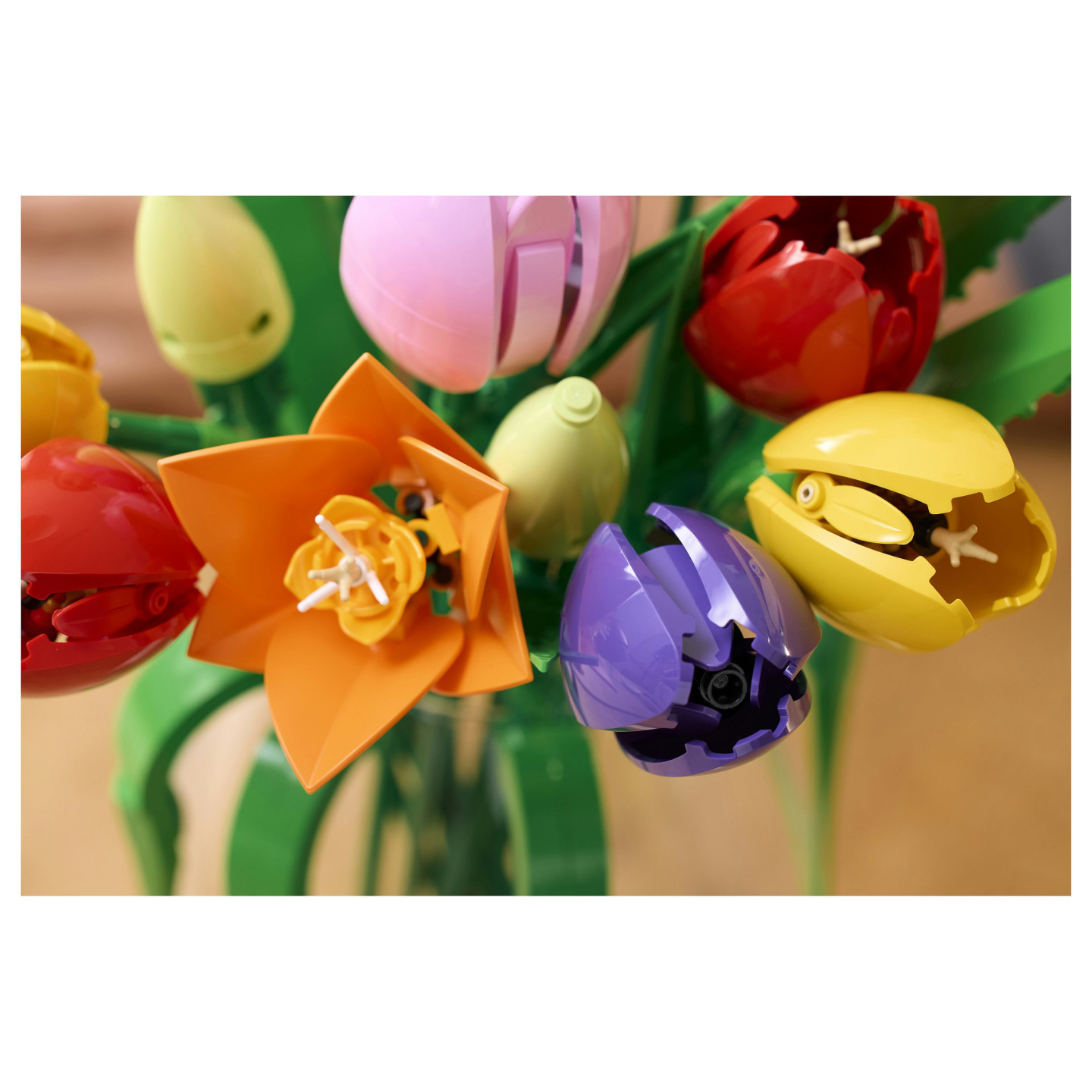LEGO 11501 Botanicals Tulpenstrau — Buy in Cyprus with Fast Delivery