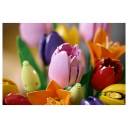 LEGO 11501 Botanicals Tulpenstrau — Buy in Cyprus with Fast Delivery