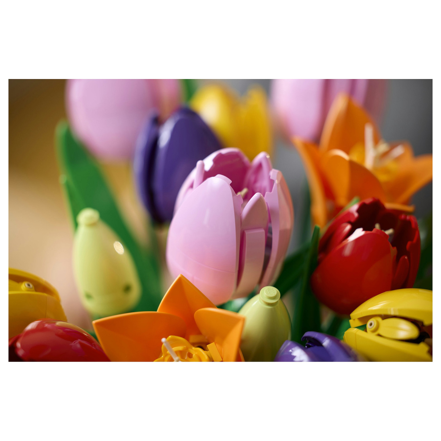 LEGO 11501 Botanicals Tulpenstrau — Buy in Cyprus with Fast Delivery