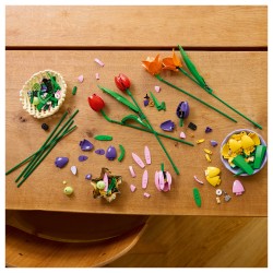 LEGO 11501 Botanicals Tulpenstrau — Buy in Cyprus with Fast Delivery