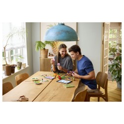 LEGO 11501 Botanicals Tulpenstrau — Buy in Cyprus with Fast Delivery