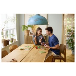 LEGO 11501 Botanicals Tulpenstrau — Buy in Cyprus with Fast Delivery