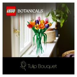 LEGO 11501 Botanicals Tulpenstrau — Buy in Cyprus with Fast Delivery