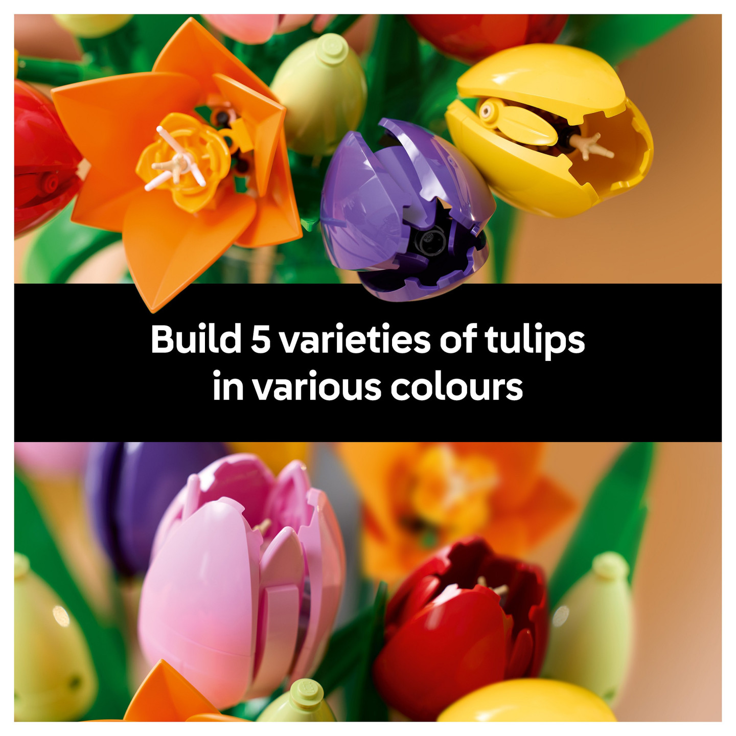 LEGO 11501 Botanicals Tulpenstrau — Buy in Cyprus with Fast Delivery