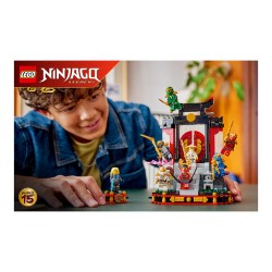 LEGO 71866 Ninjago 15-jhriges Jubilum: Ninja-Charaktere zum Ausstellen — Buy in Cyprus with Fast Delivery