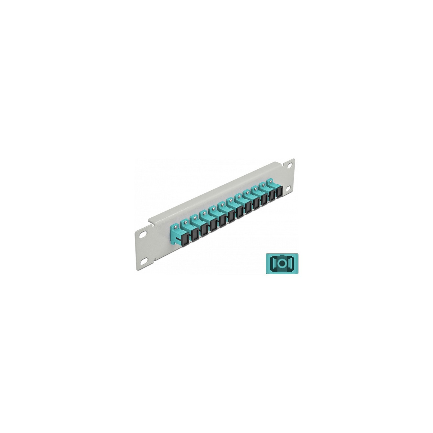 Delock 10? LWL Patchpanel 12 Port SC Simplex aqua 1 HE grau — Buy in Cyprus with Fast Delivery