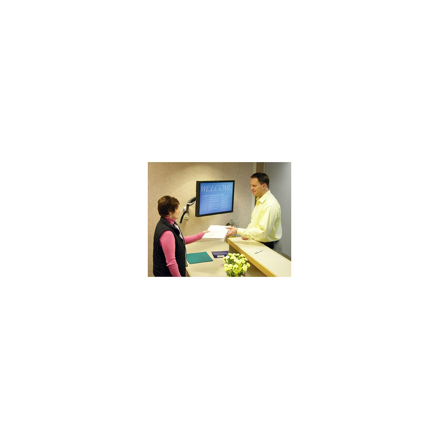 Ergotron MX Wall Mount LCD Arm — Buy in Cyprus with Fast Delivery