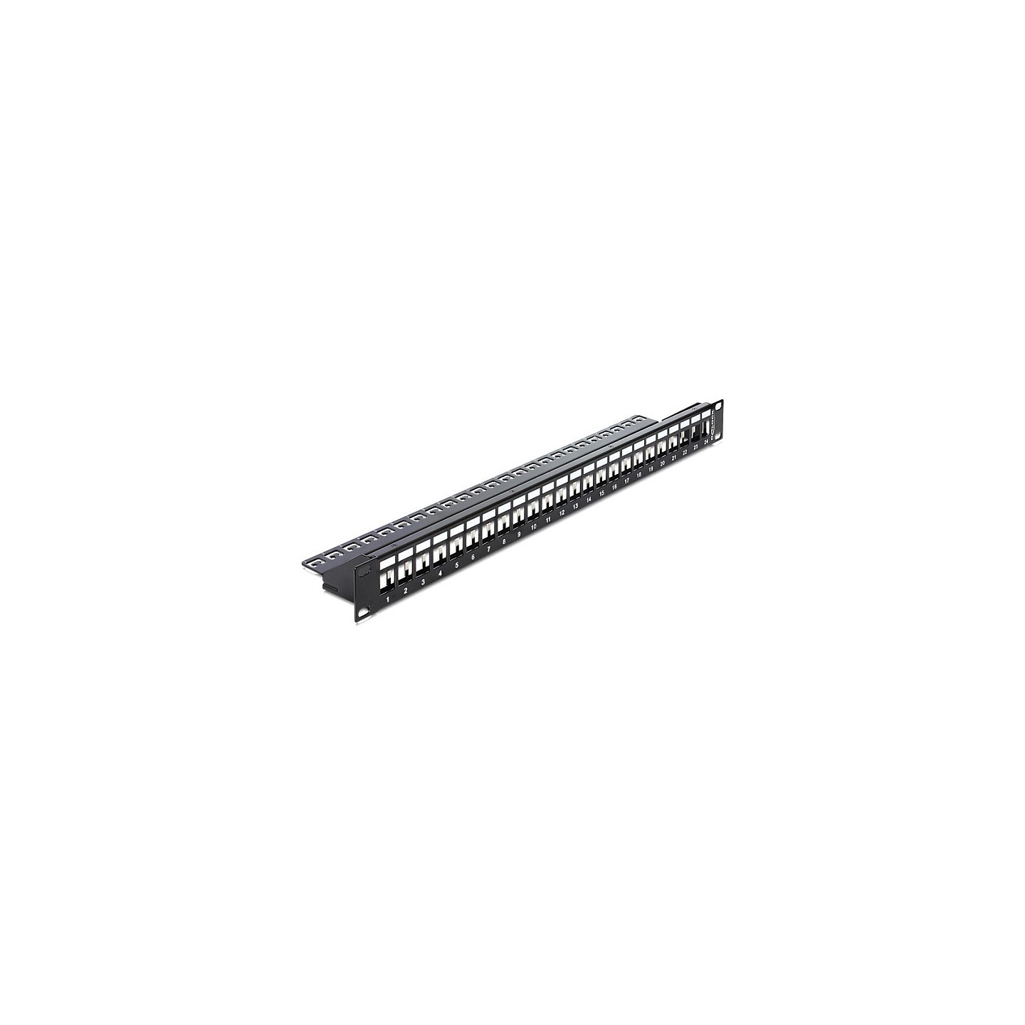 Patchpanel Delock 1HE 24 Keystone Ports — Buy in Cyprus with Fast Delivery