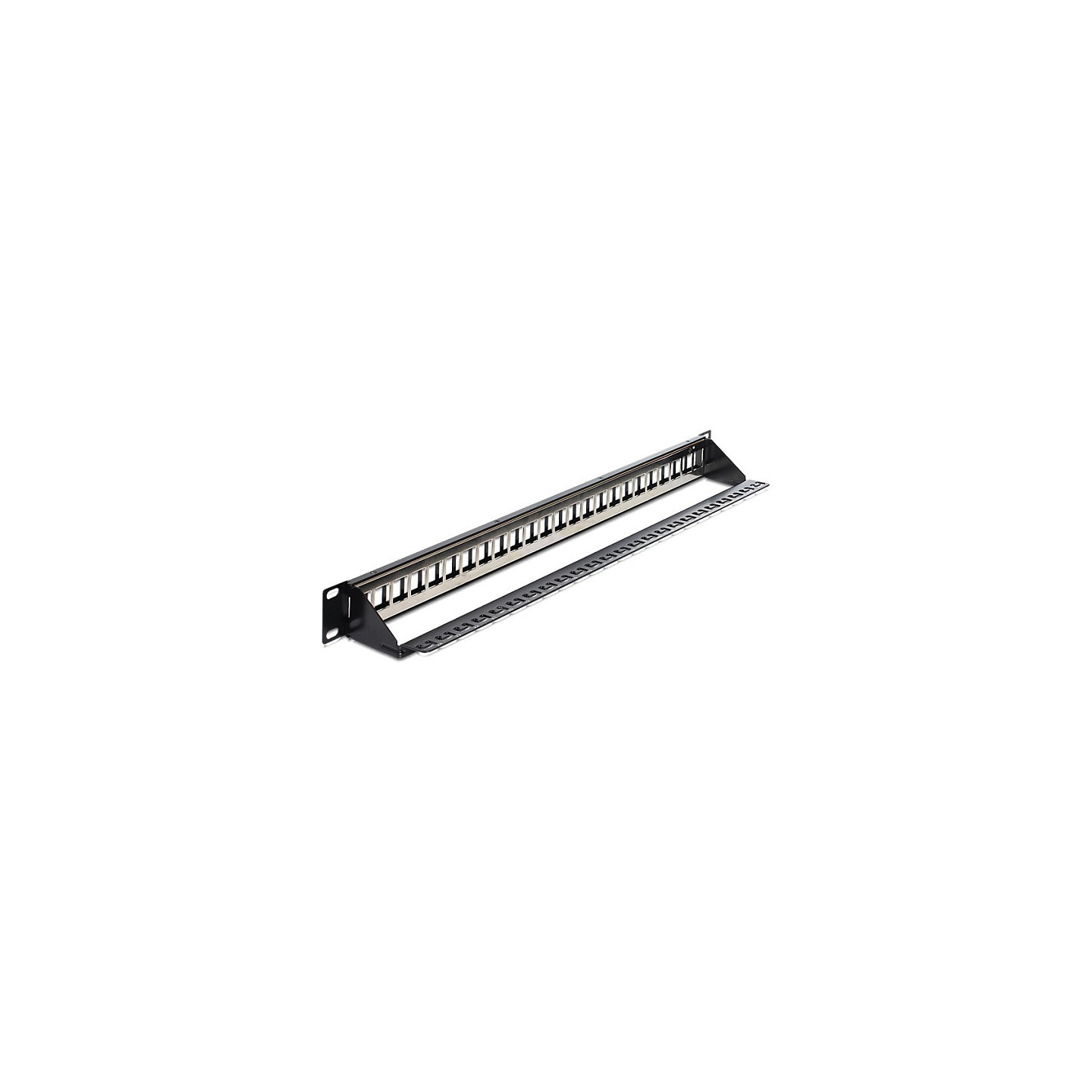 Patchpanel Delock 1HE 24 Keystone Ports — Buy in Cyprus with Fast Delivery