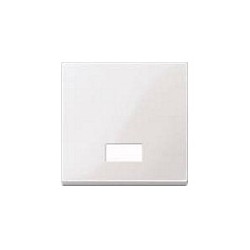 MERTEN 432819 Wippe für Schalter. Symbolfenster pws SYSTEM M — Buy in Cyprus with Fast Delivery