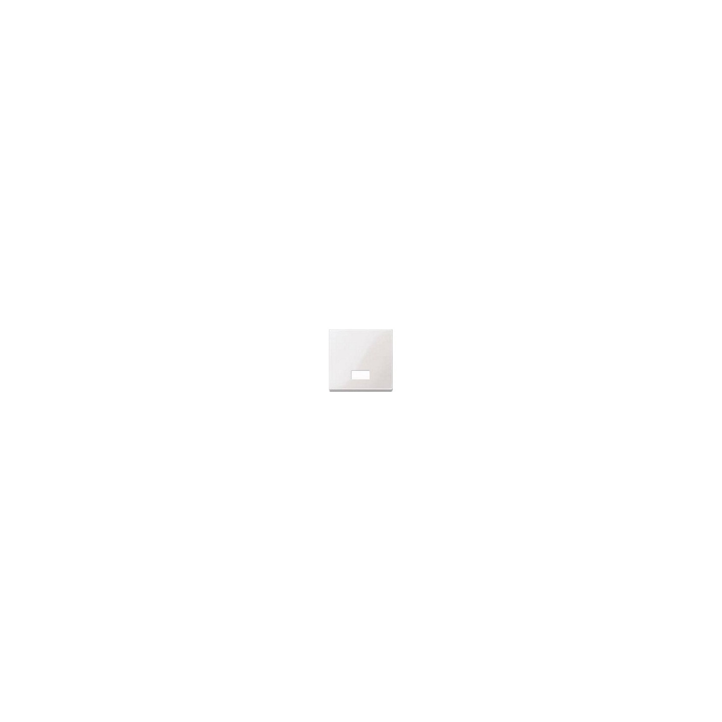 MERTEN 432819 Wippe für Schalter. Symbolfenster pws SYSTEM M — Buy in Cyprus with Fast Delivery