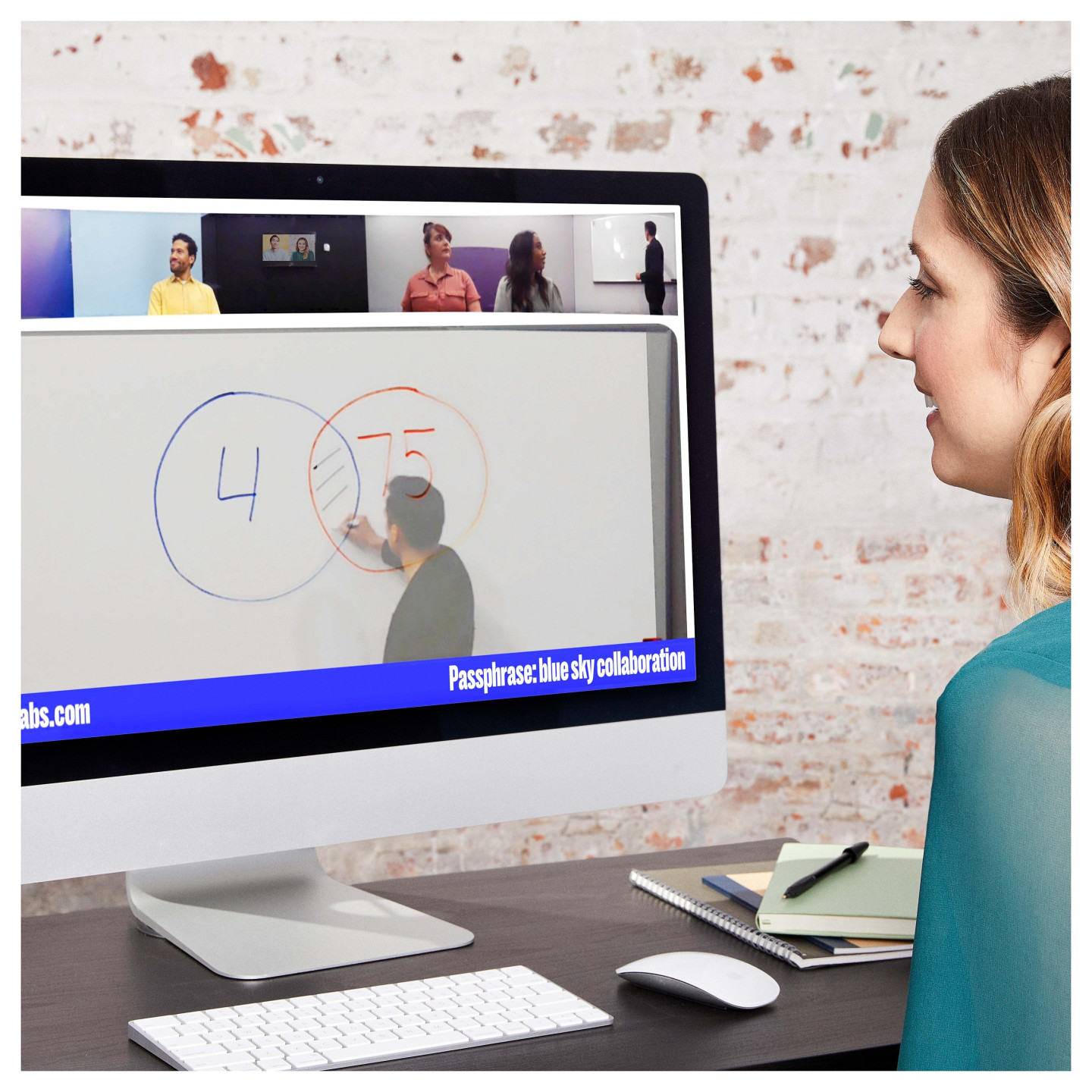 WHITEBOARD OWL — Buy in Cyprus with Fast Delivery