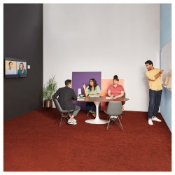 WHITEBOARD OWL — Buy in Cyprus with Fast Delivery