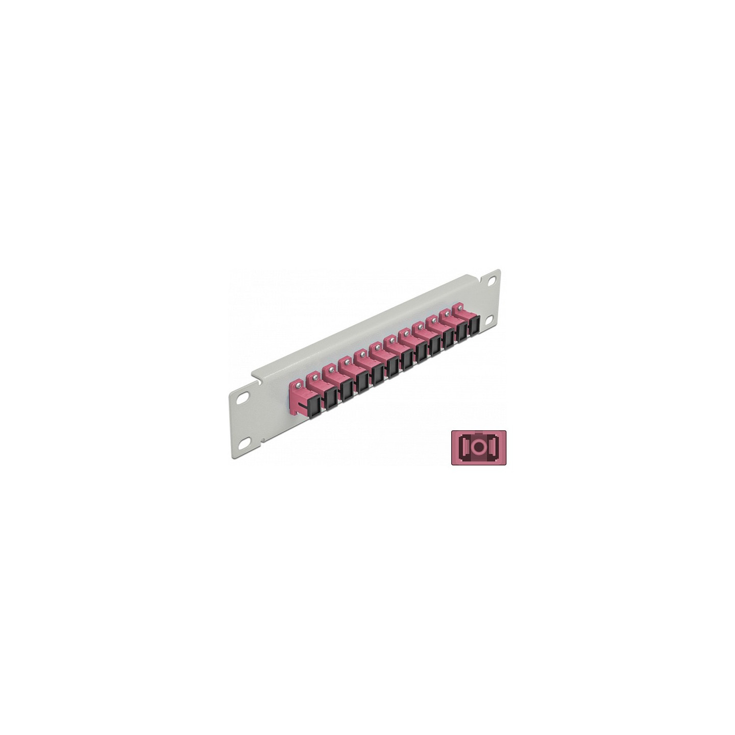 Delock 10? LWL Patchpanel 12 Port SC Simplex violett 1 HE grau — Buy in Cyprus with Fast Delivery