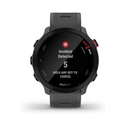 Garmin Forerunner 55 grey — Buy in Cyprus with Fast Delivery
