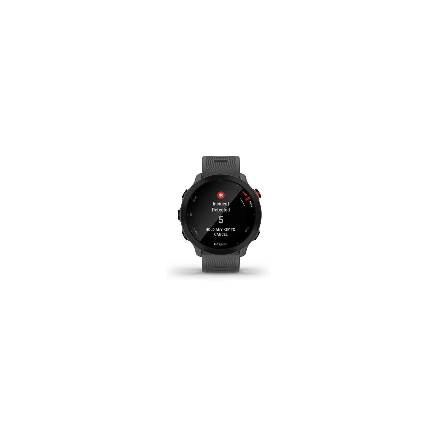 Garmin Forerunner 55 grey — Buy in Cyprus with Fast Delivery