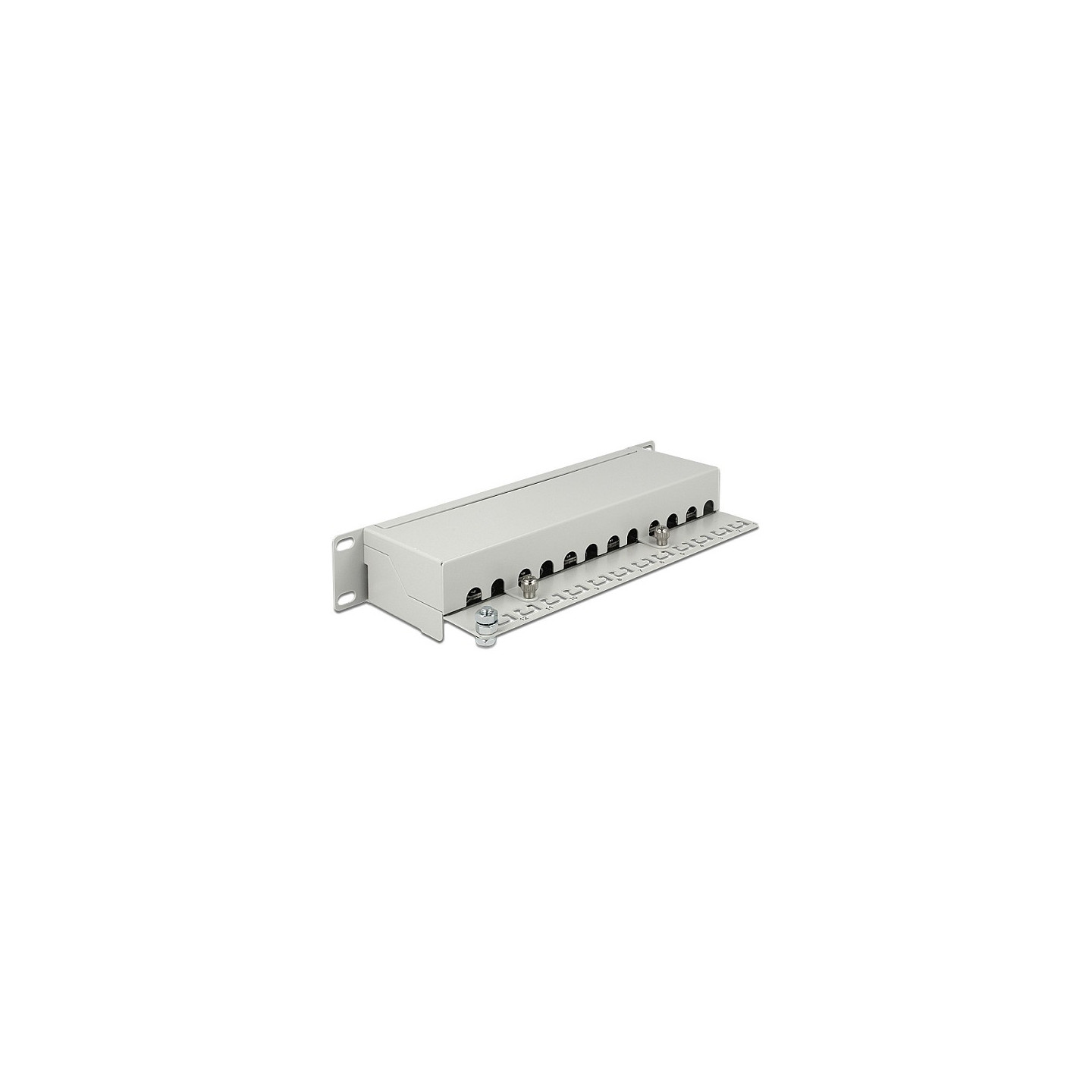 Delock 10? Patchpanel 12 Port Cat.6 grau — Buy in Cyprus with Fast Delivery
