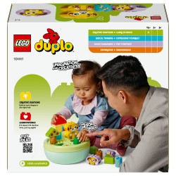 LEGO 10441 DUPLO Formsortierer: Welpenhaus — Buy in Cyprus with Fast Delivery
