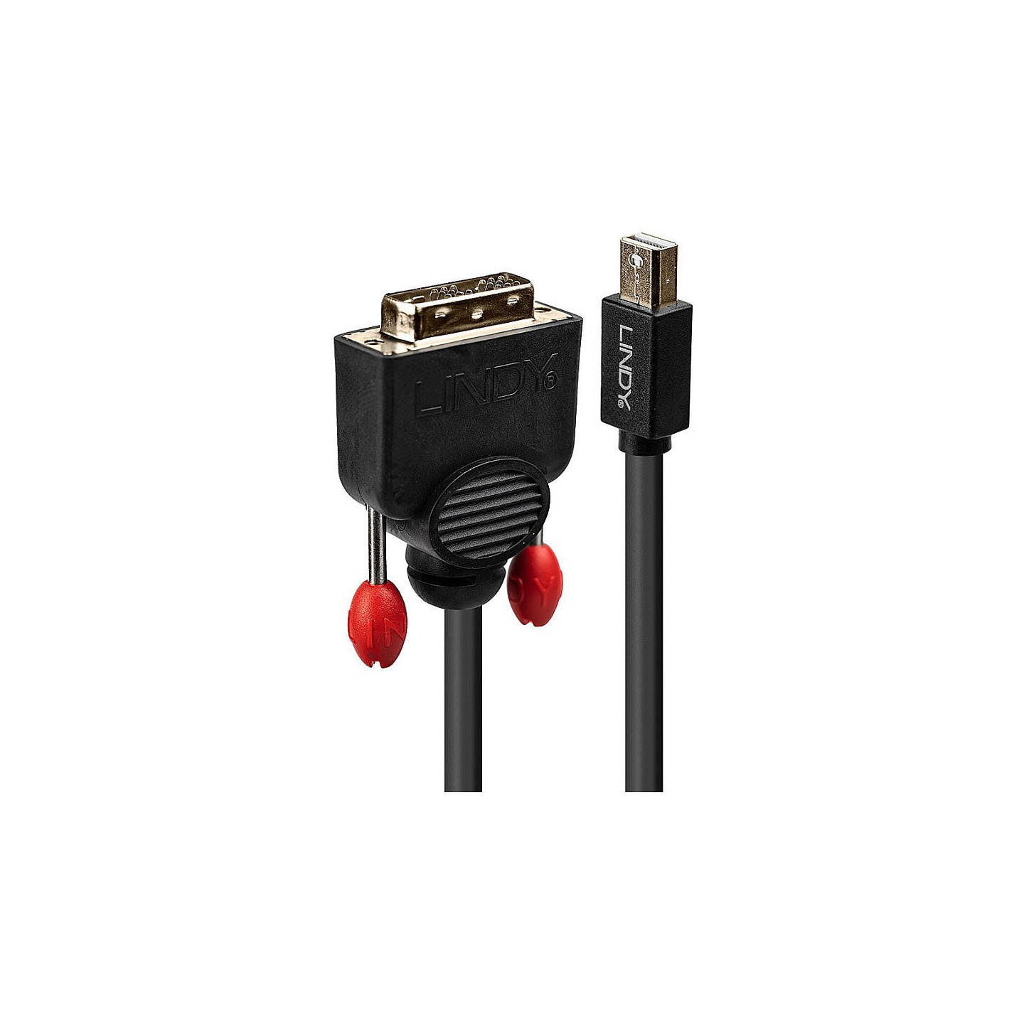 LINDY Mini-DisplayPort an DVI-D Kabel schwarz 3m — Buy in Cyprus with Fast Delivery