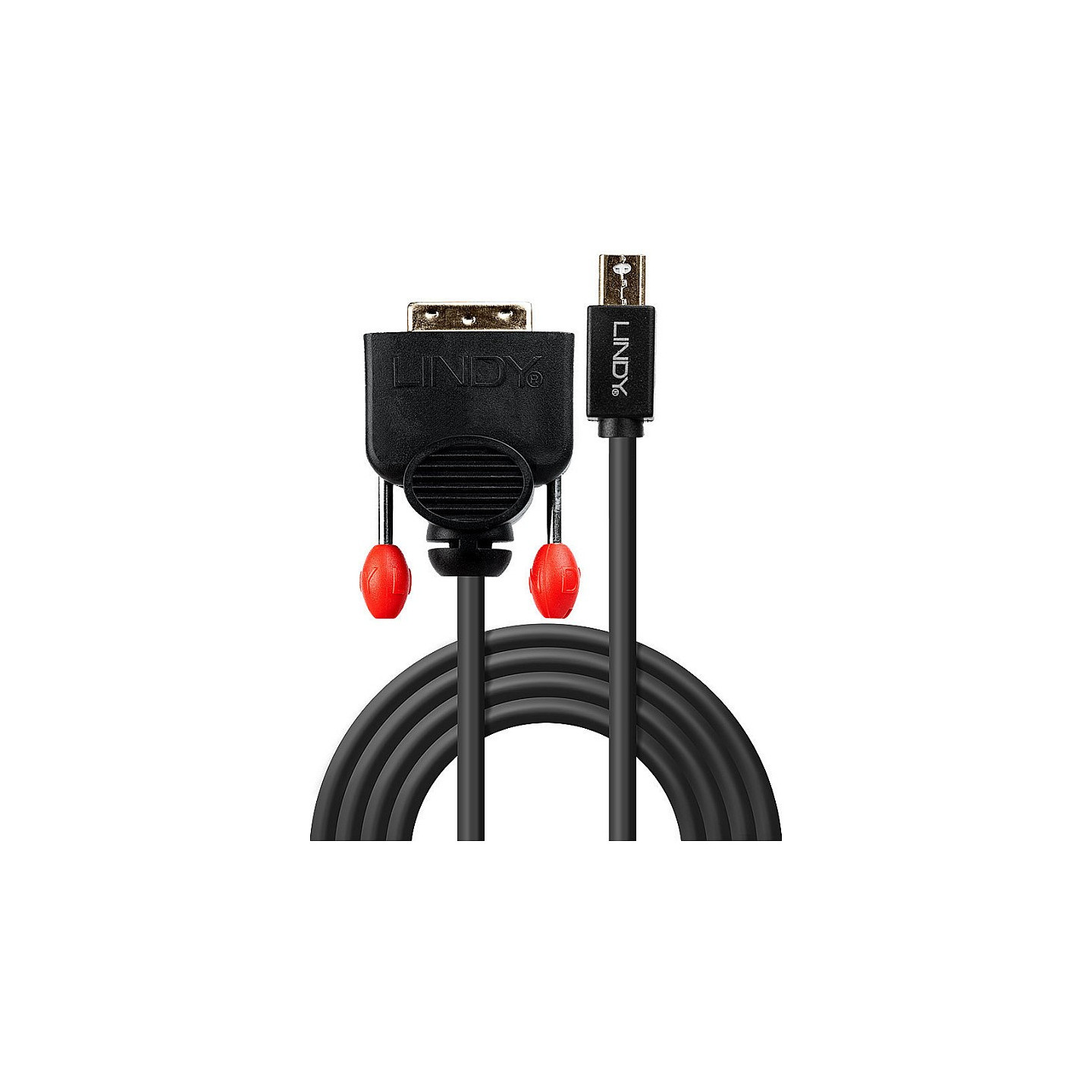 LINDY Mini-DisplayPort an DVI-D Kabel schwarz 3m — Buy in Cyprus with Fast Delivery