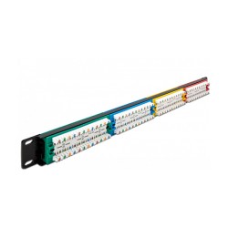 Delock 19? Patchpanel 24 Port Cat.5e 1 HE farbig — Buy in Cyprus with Fast Delivery