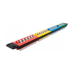 Delock 19? Patchpanel 24 Port Cat.5e 1 HE farbig — Buy in Cyprus with Fast Delivery