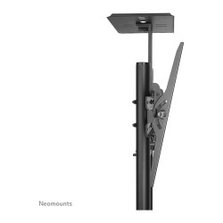 Neomounts PLASMA-M1700E mobiler Bodenständer für Flachbild-Fernseher bis 70' (178 cm). — Buy in Cyprus with Fast Delivery
