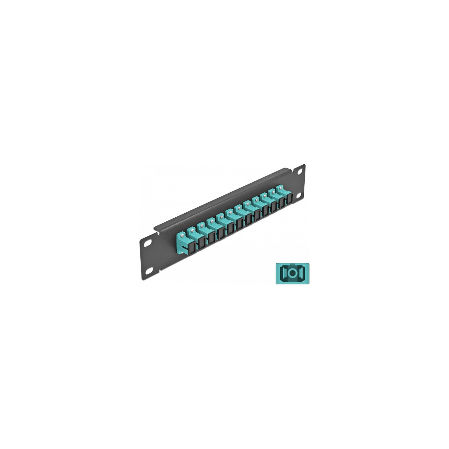 Delock 10? LWL Patchpanel 12 Port SC Simplex aqua 1 HE schwarz — Buy in Cyprus with Fast Delivery