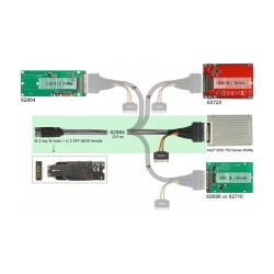 Delock M.2 Key M to U.2 SFF-8639 NVMe Adapter – 50 cm Cable, PCIe 4.0 | Armenius Store