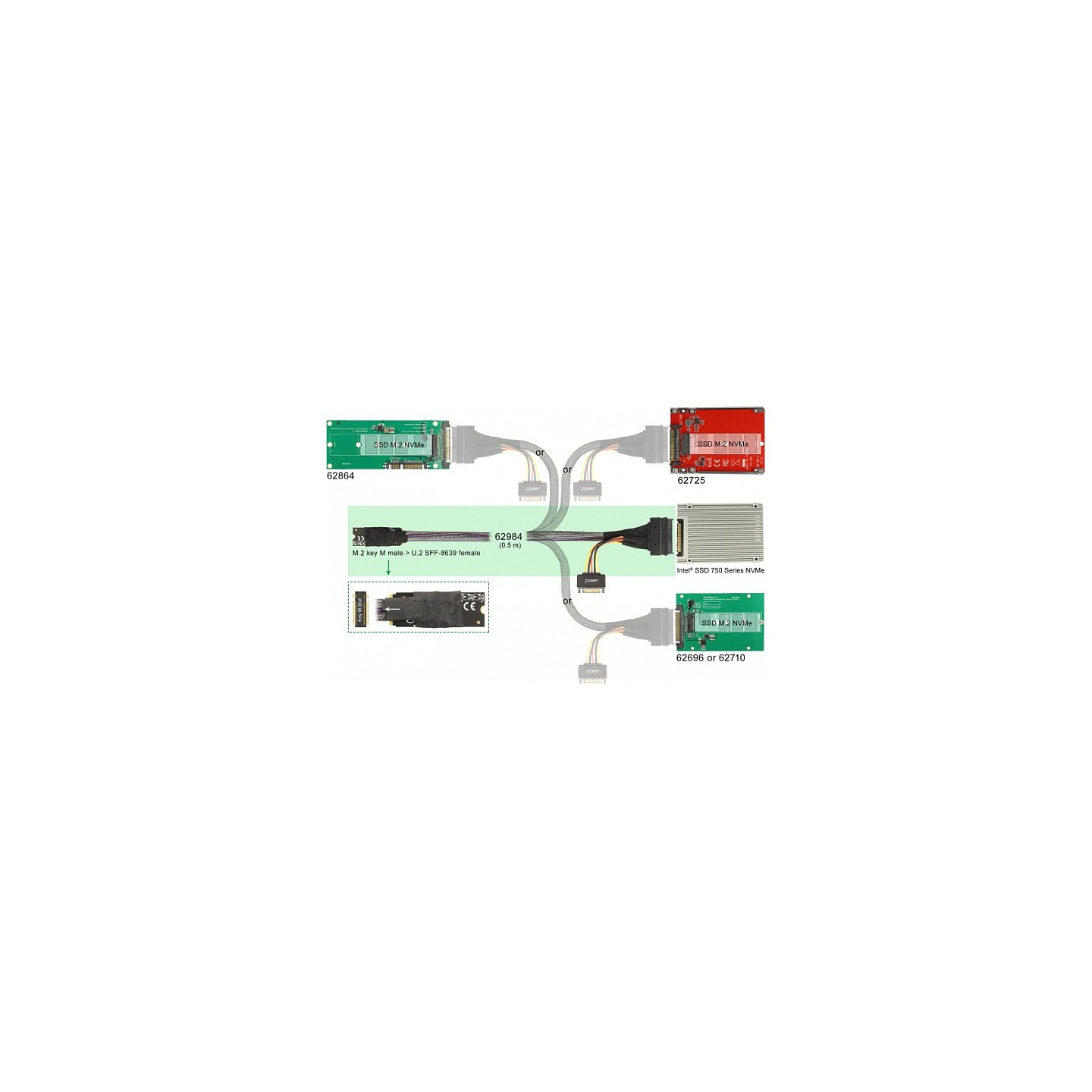 Delock M.2 Key M to U.2 SFF-8639 NVMe Adapter – 50 cm Cable, PCIe 4.0 | Armenius Store