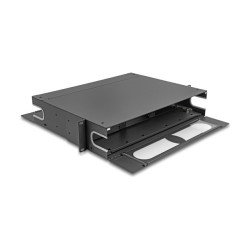 Delock 19? LWL Patchpanel mit Sichtfenster unbestückt 2 HE dunkelgrau — Buy in Cyprus with Fast Delivery