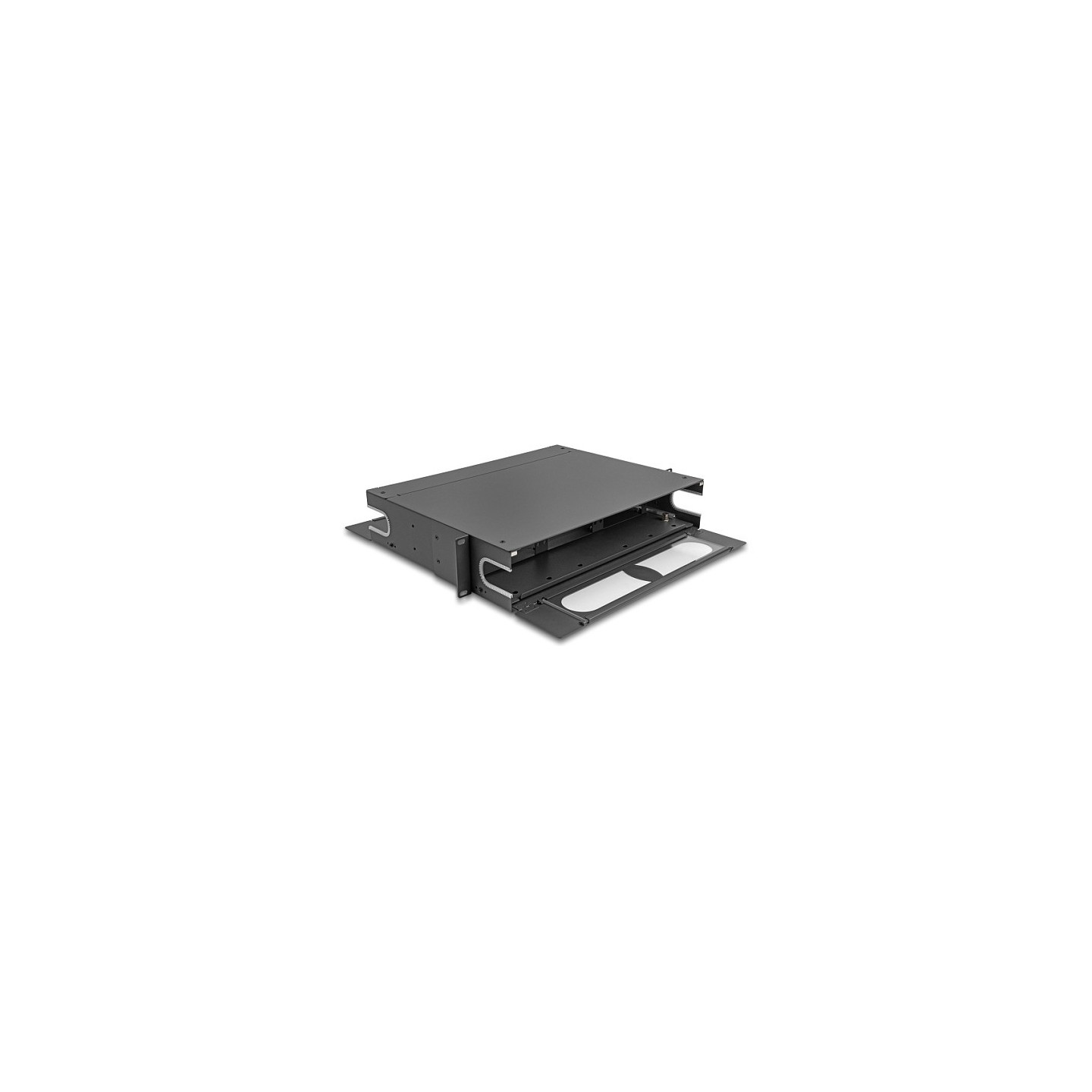 Delock 19? LWL Patchpanel mit Sichtfenster unbestückt 2 HE dunkelgrau — Buy in Cyprus with Fast Delivery