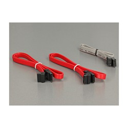 PCI Express x1 Karte to 2 x intern M.2 NGFF — Buy in Cyprus with Fast Delivery