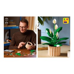 LEGO 11504 Botanicals Friedenslilie — Buy in Cyprus with Fast Delivery