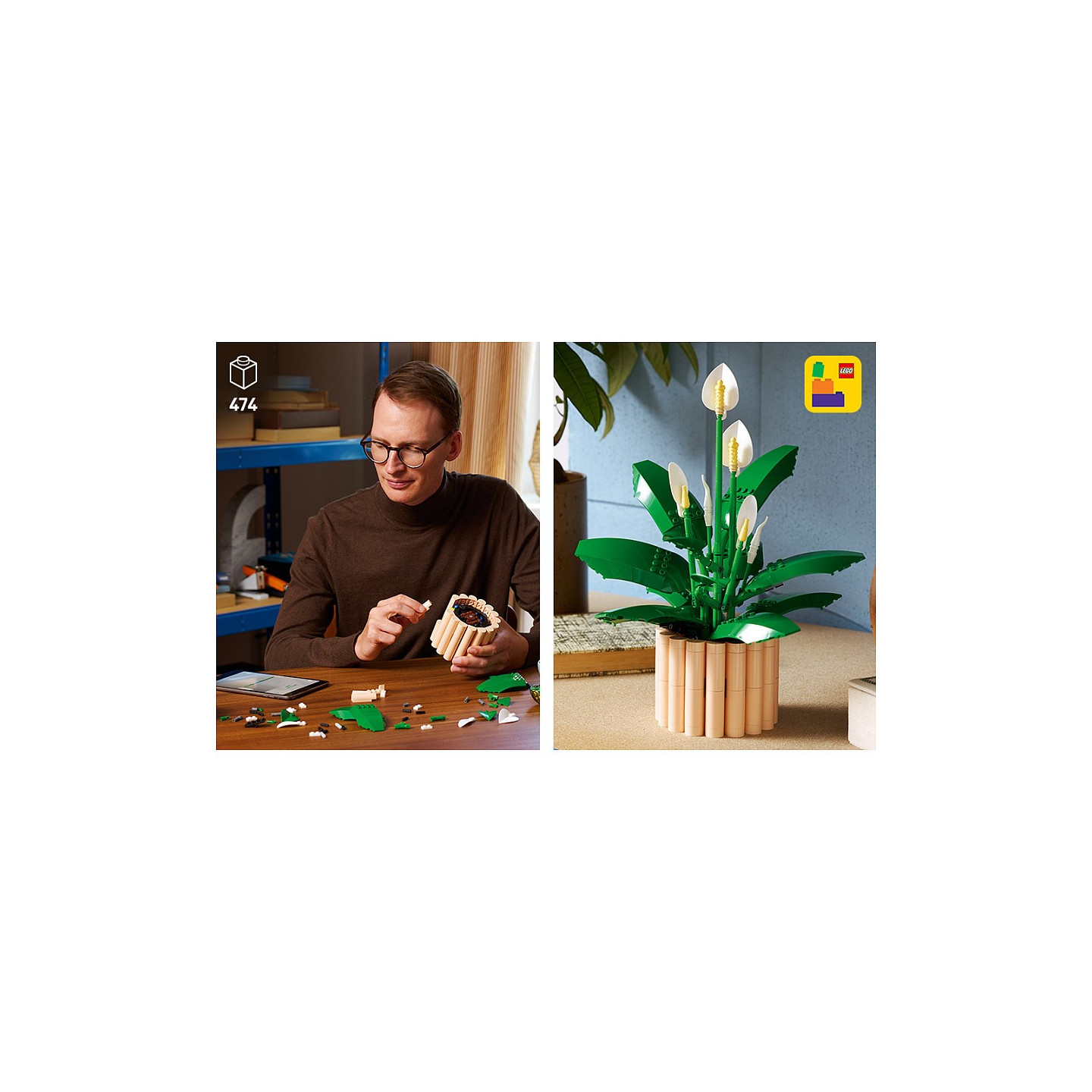 LEGO 11504 Botanicals Friedenslilie — Buy in Cyprus with Fast Delivery
