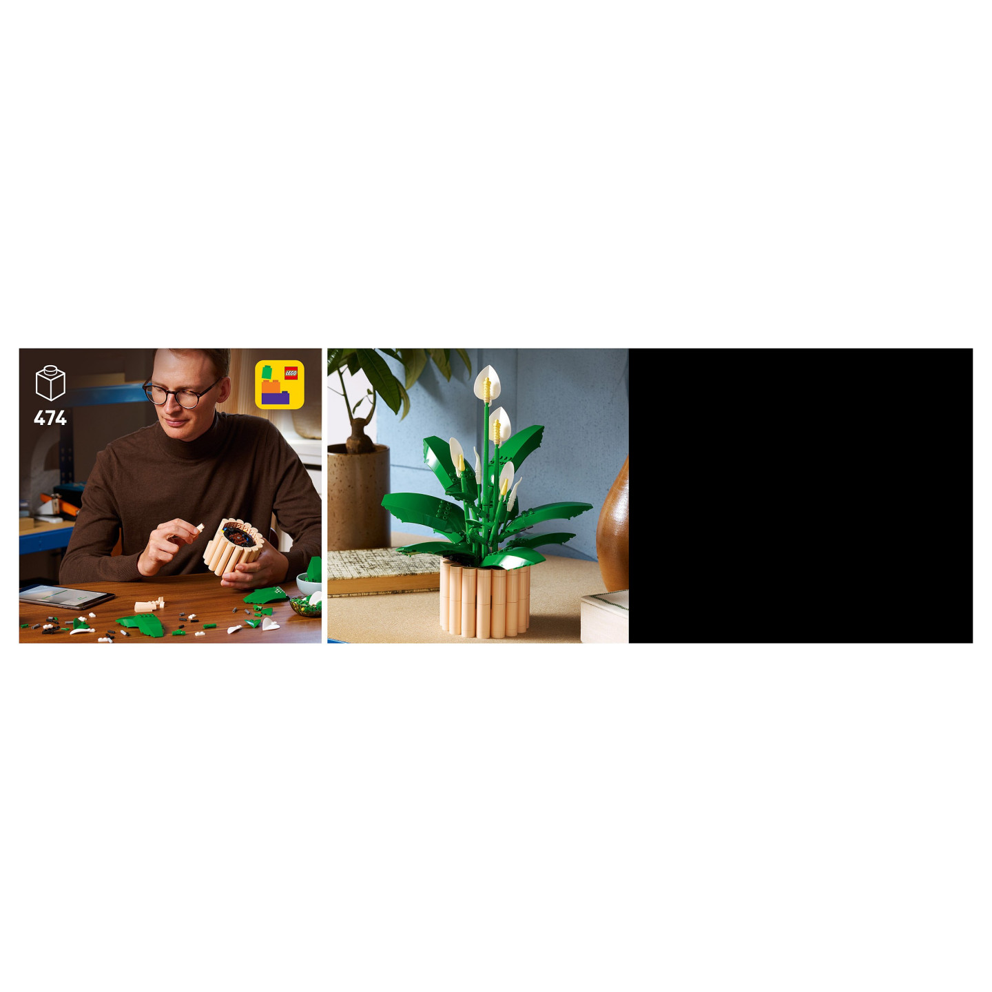 LEGO 11504 Botanicals Friedenslilie — Buy in Cyprus with Fast Delivery