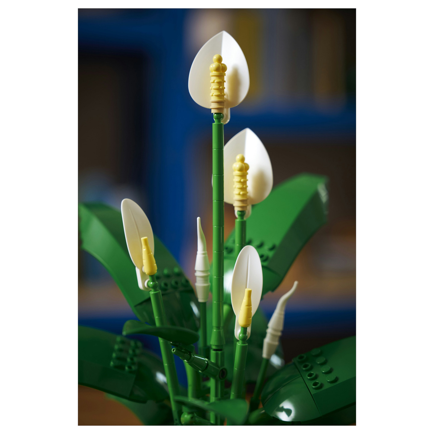 LEGO 11504 Botanicals Friedenslilie — Buy in Cyprus with Fast Delivery