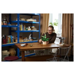 LEGO 11504 Botanicals Friedenslilie — Buy in Cyprus with Fast Delivery