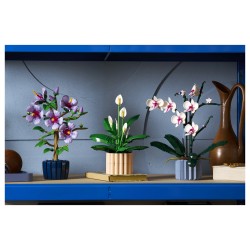LEGO 11504 Botanicals Friedenslilie — Buy in Cyprus with Fast Delivery
