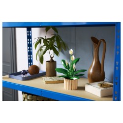 LEGO 11504 Botanicals Friedenslilie — Buy in Cyprus with Fast Delivery