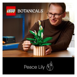 LEGO 11504 Botanicals Friedenslilie — Buy in Cyprus with Fast Delivery