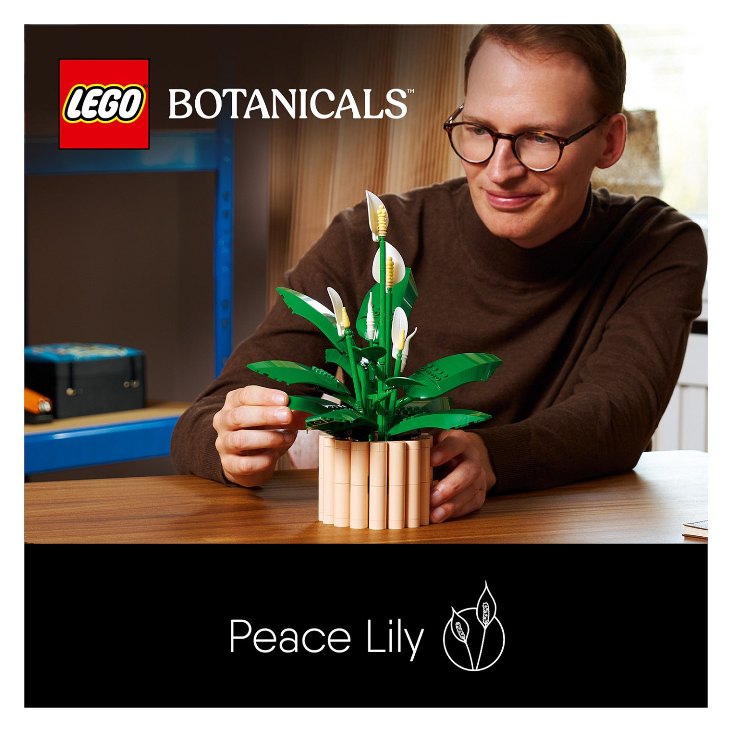 LEGO 11504 Botanicals Friedenslilie — Buy in Cyprus with Fast Delivery