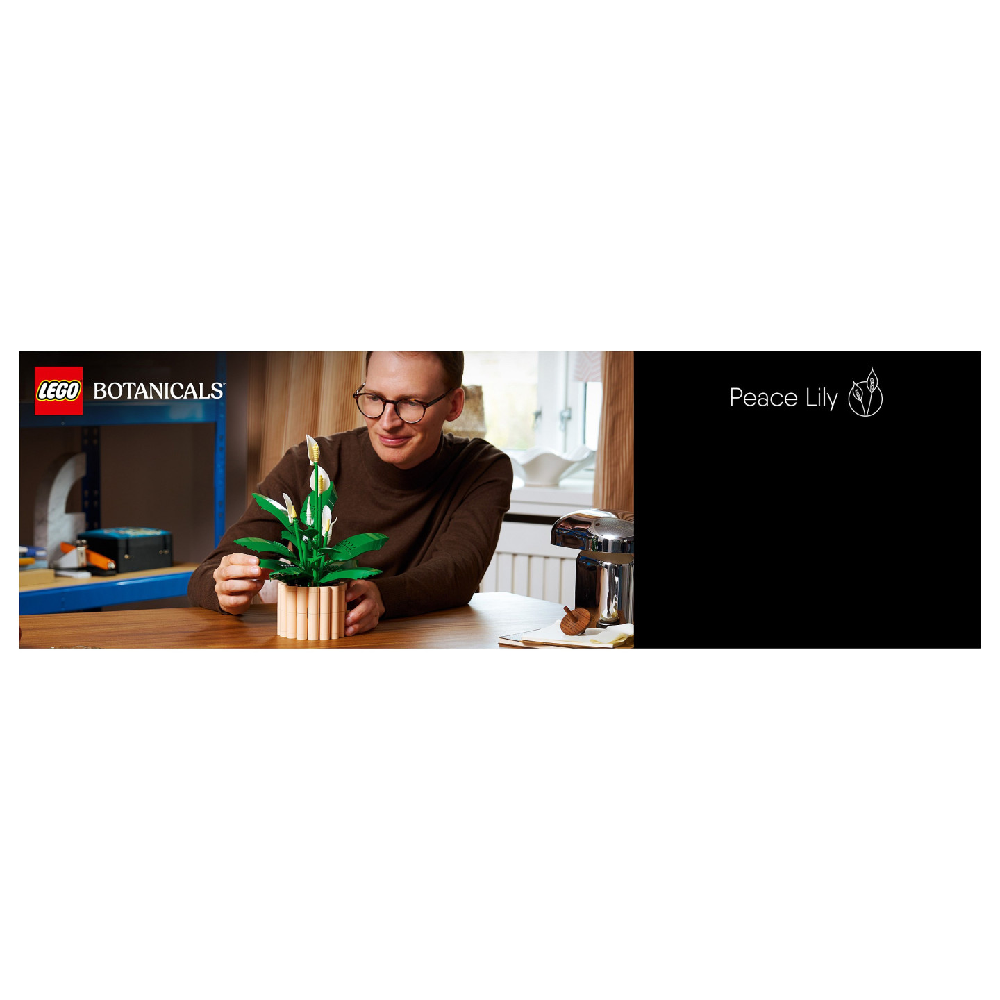 LEGO 11504 Botanicals Friedenslilie — Buy in Cyprus with Fast Delivery