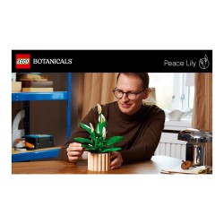 LEGO 11504 Botanicals Friedenslilie — Buy in Cyprus with Fast Delivery