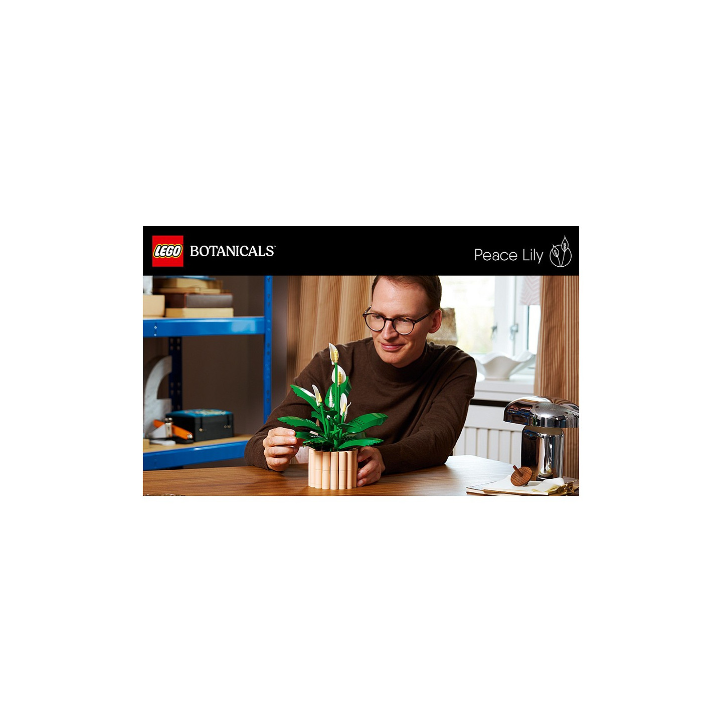 LEGO 11504 Botanicals Friedenslilie — Buy in Cyprus with Fast Delivery